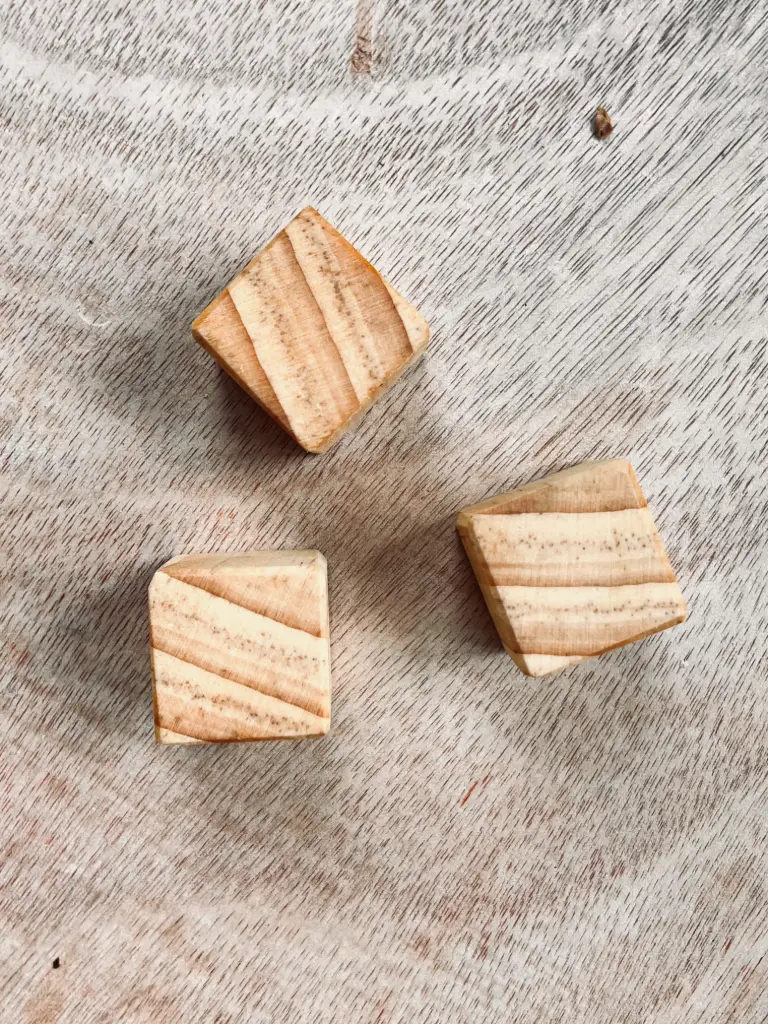 Set of 3 Fridge Magnets – Poplar 