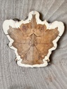 Robinia Trivet – Radial Grain from Rudow, Berlin