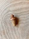 Hand-Carved Bottle Stopper with Cork Insert