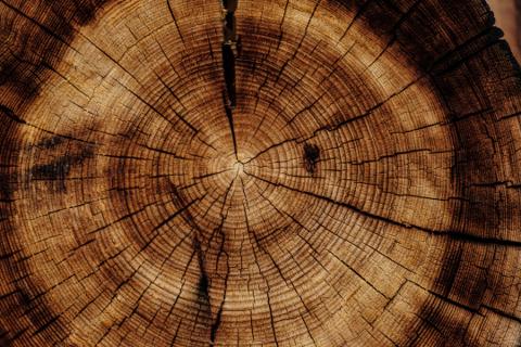 Wood 
